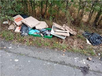 'PAPA JOHN' FLY TIPPING AT HOPPERS LANE